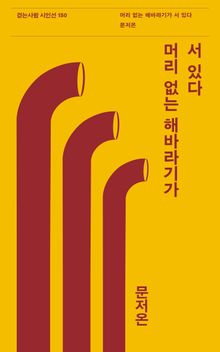 머리 없는 해바라기가 서 있다