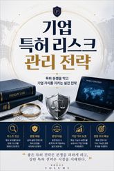 기업 특허 리스크 관리 전략 : 특허 분쟁을 막고 기업 가치를 지키는 실전 전략 표지 이미지