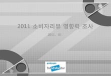 2011 소비자 리뷰 영향력 관련 조사