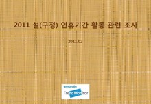 2011 설 연휴기간 활동 관련 조사