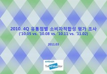 20104Q 유통점별 소비자적합성 평가 조사
