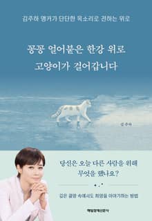 꽁꽁 얼어붙은 한강 위로 고양이가 걸어갑니다