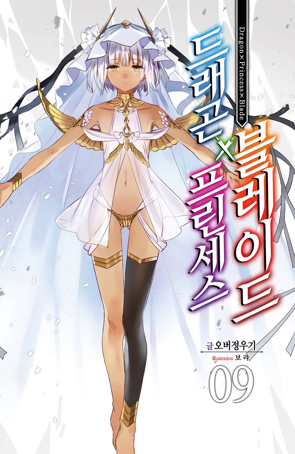 드래곤X프린세스X블레이드 9권
