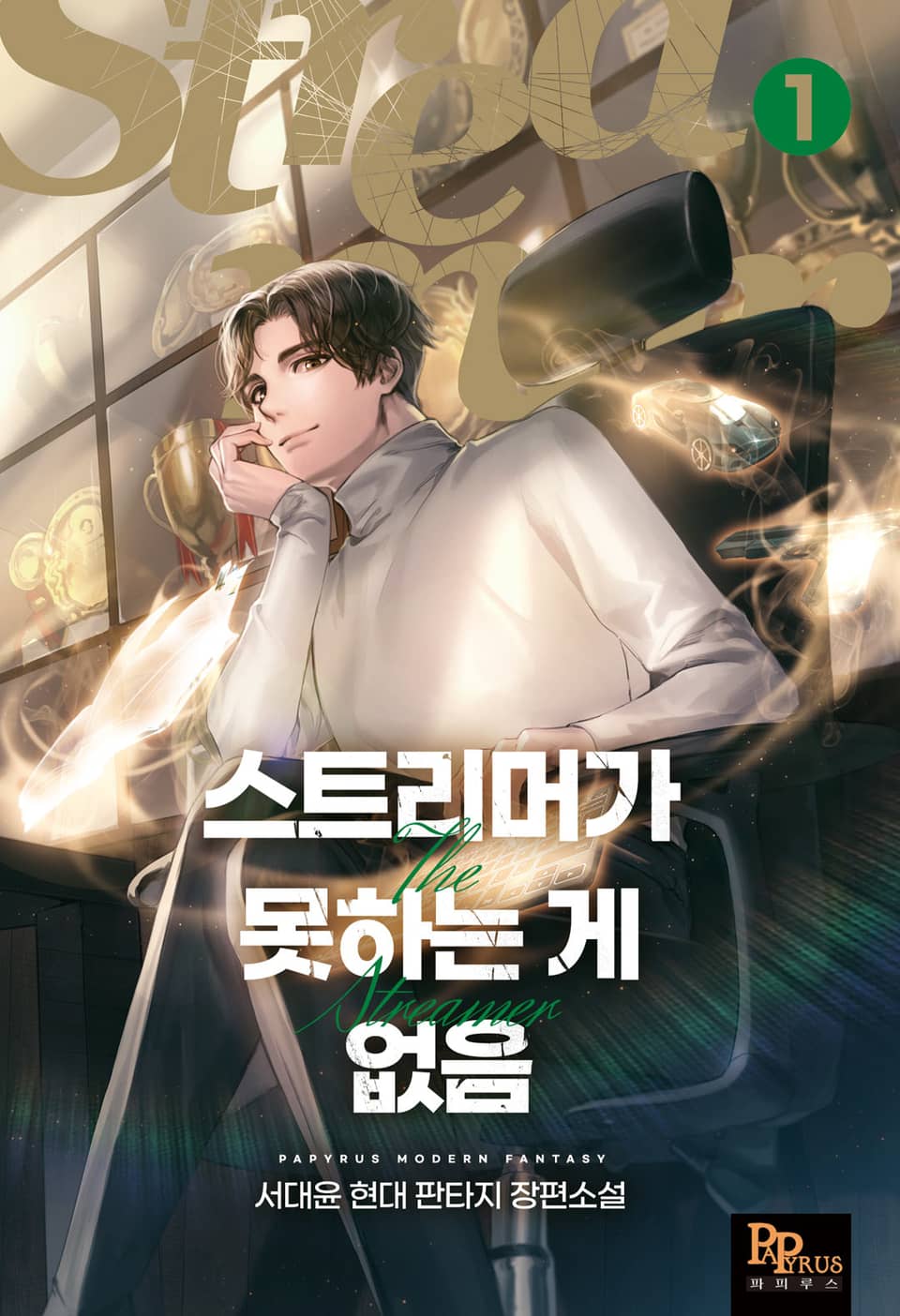 스트리머가 못하는 게 없음 1권