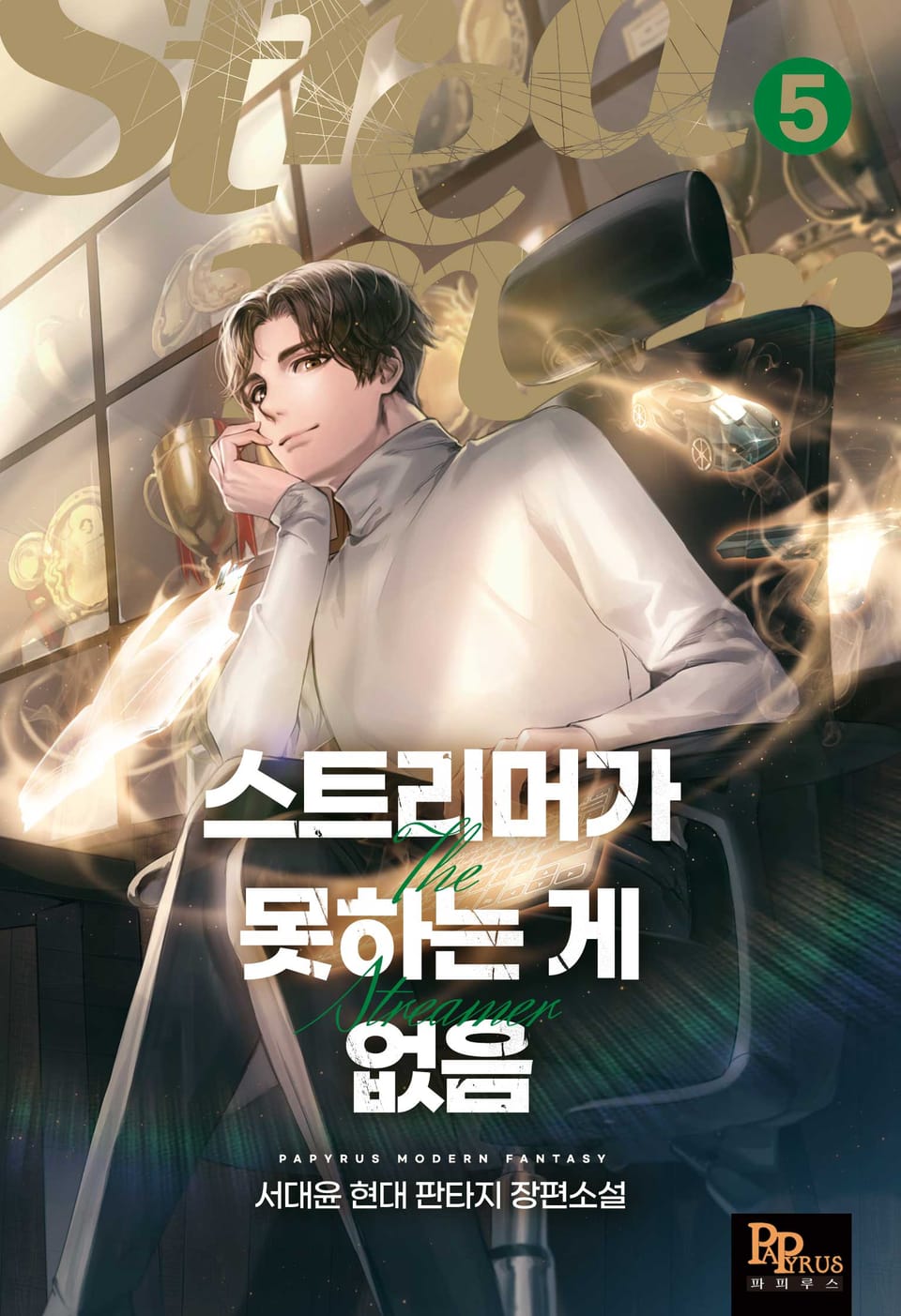 스트리머가 못하는 게 없음 5권