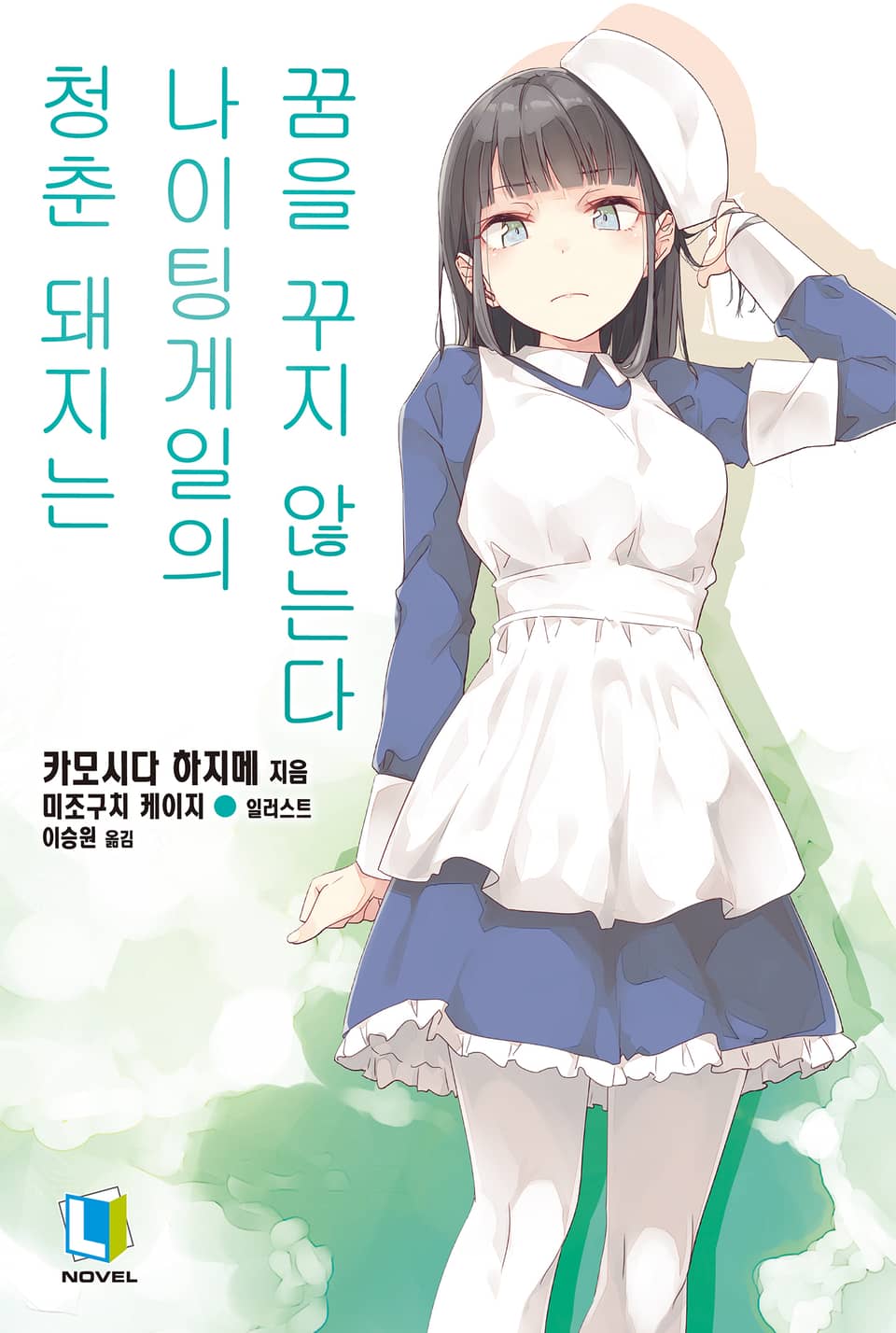 청춘 돼지는 나이팅게일의 꿈을 꾸지 않는다 11