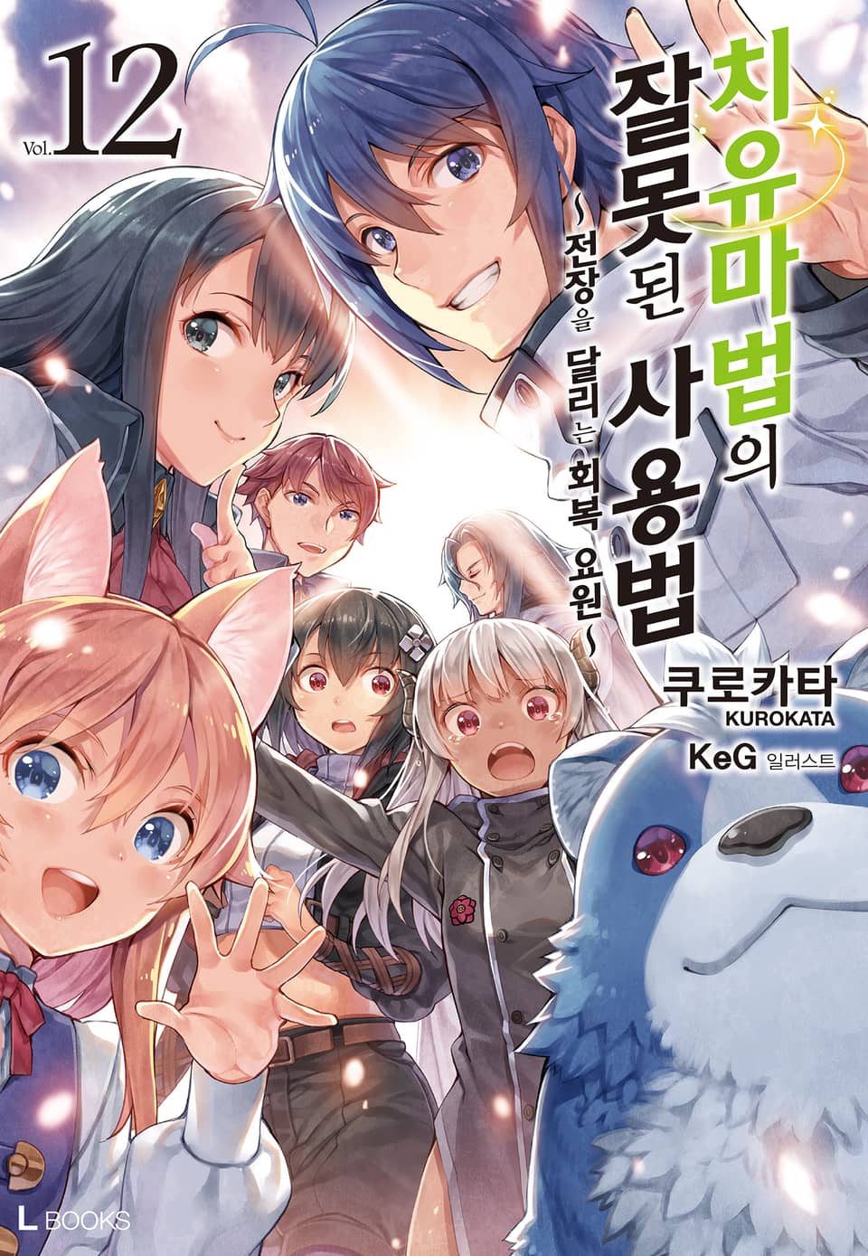 치유마법의 잘못된 사용법 12권 (완결)