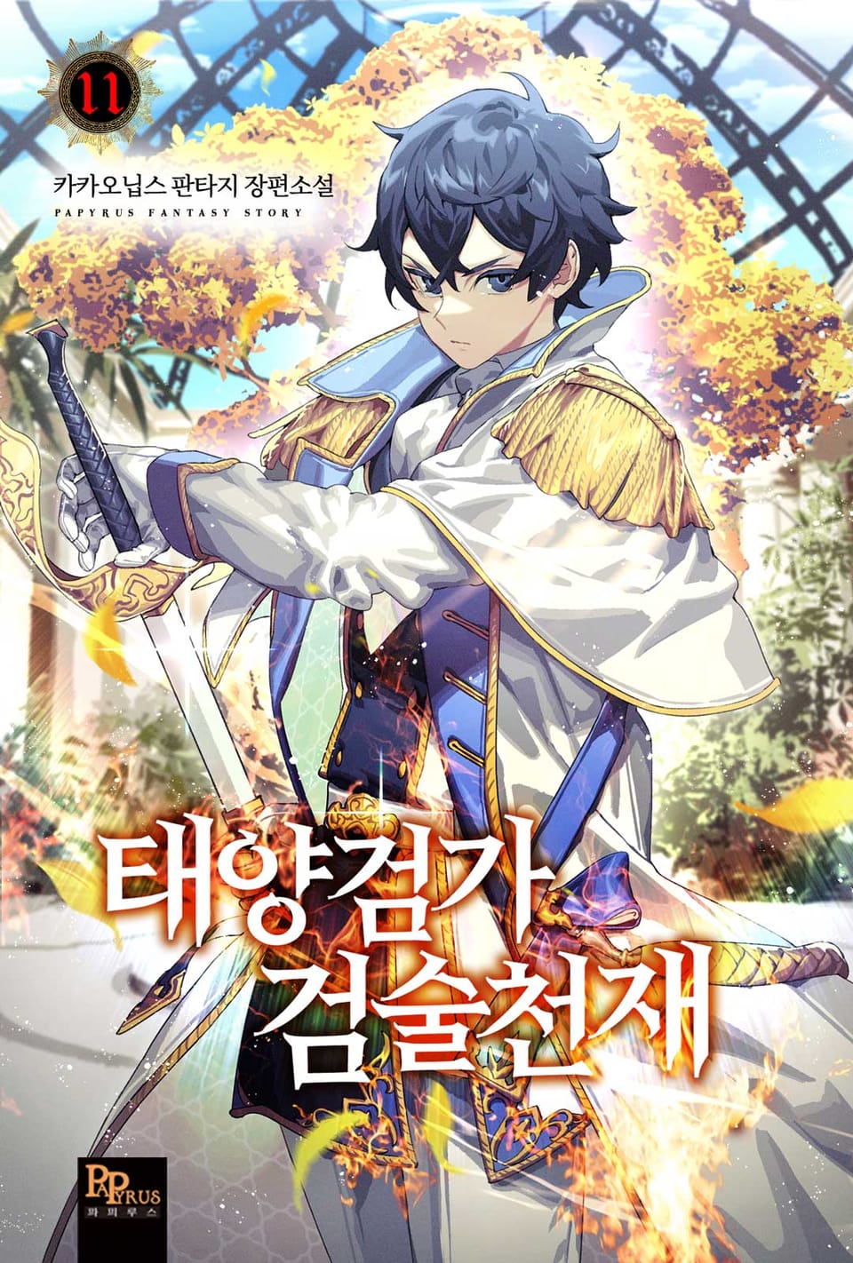 태양검가 검술천재 11권