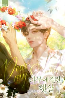 나무에 걸린 햇살 (15세 개정판)
