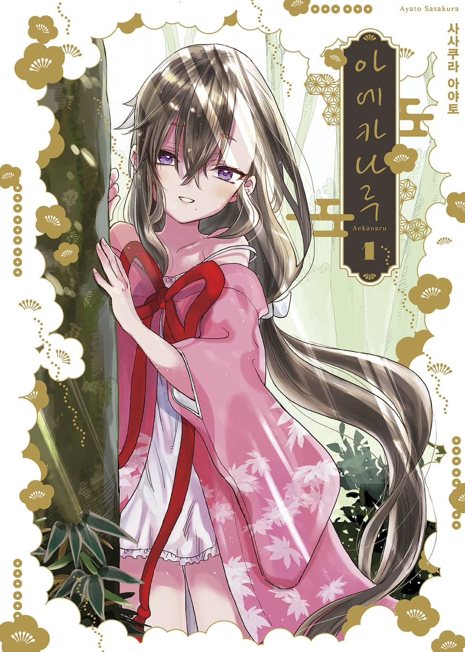 아에카나루 1권