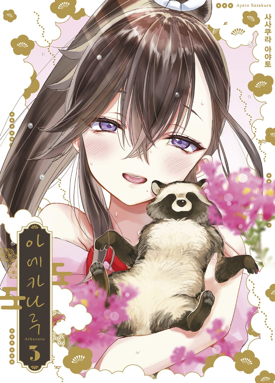 아에카나루 3권