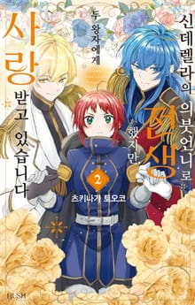 신데렐라의 의붓언니로 전생했지만, 두 왕자에게 사랑받고 있습니다