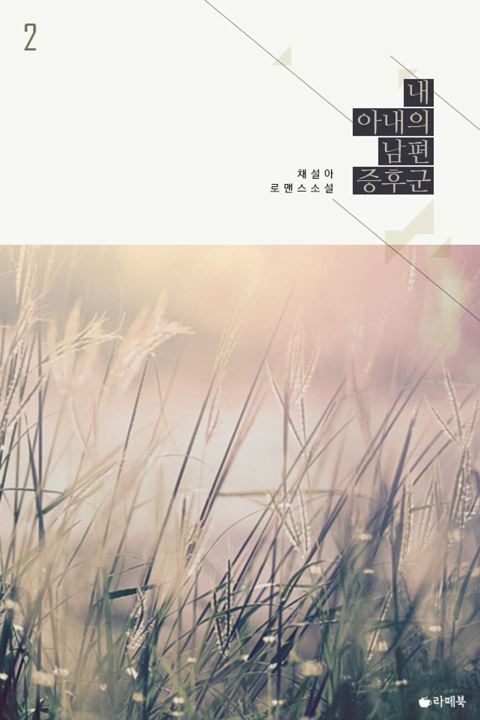 내 아내의 남편 증후군 2 (완결)