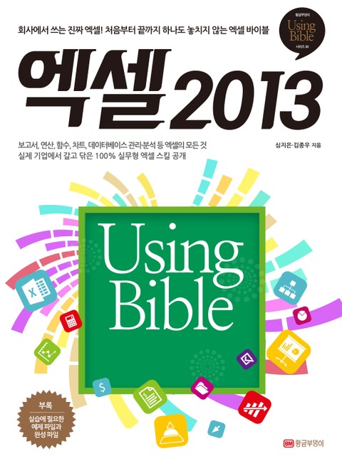 엑셀 2013 Using Bible 표지 이미지