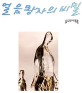 얼음왕자의 비밀 표지 이미지