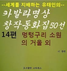 멍텅구리 소원의 거울 외