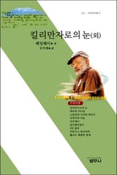 킬리만자로의 눈 (외) 표지 이미지