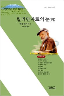킬리만자로의 눈 (외)