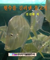 원수를 길러낸 물고기 표지 이미지