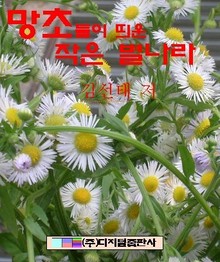 망초들이 띄운 작은 별나라