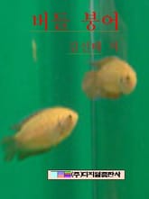 버들붕어 표지 이미지