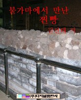 불 가마에서 만난 찐빵 표지 이미지