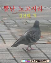 뿔난 노고지리 표지 이미지