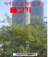 여의도를 물바다로 만든 물고기 표지 이미지