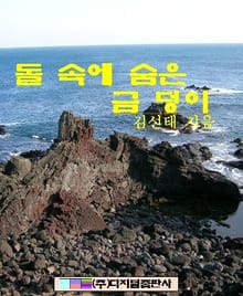 돌 속에 숨은 금덩이