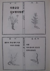 의종금감 산보명의방론 1 표지 이미지