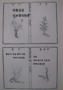 의종금감 산보명의방론 1