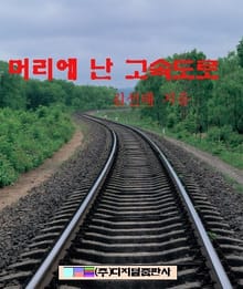 머리에 난 고속도로