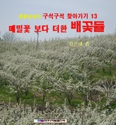 메밀꽃 보다 더한 배꽃들 표지 이미지