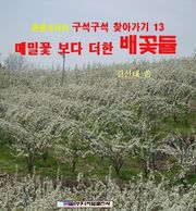 메밀꽃 보다 더한 배꽃들