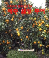 제주 웰빙 투어 표지 이미지