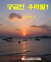 궁금한 우리말 1 표지 이미지