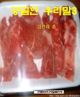 궁금한 우리말 3 표지 이미지