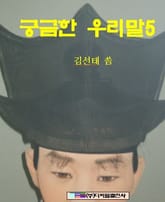 궁금한 우리말 5 표지 이미지