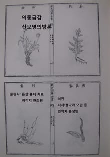 의종금감 산보명의방론 3