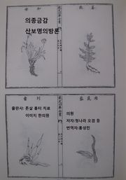 의종금감 산보명의방론 3