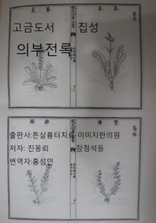 고금도서집성 의부전록 501권