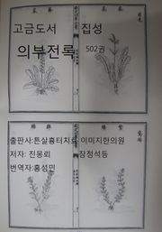 고금도서집성 의부전록 502권