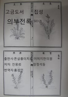 고금도서집성 의부전록 503권