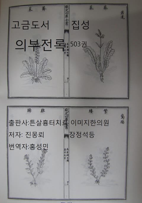 고금도서집성 의부전록 503권 표지 이미지