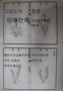 고금도서집성 의부전록 의술명류열전 2 505권