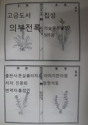 고금도서집성 의부전록 의술명류열전 2 505권