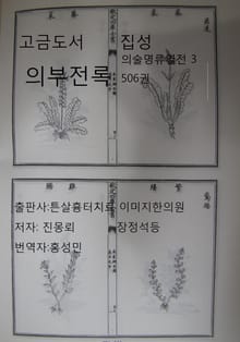 고금도서집성 의부전록 의술명류열전 3 506권