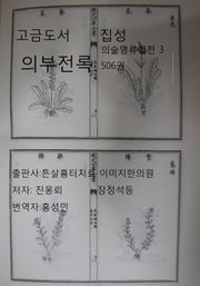 고금도서집성 의부전록 의술명류열전 3 506권