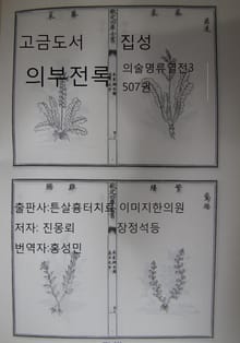 고금도서집성 의부전록 의술명류열전 4 507권