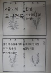 고금도서집성 의부전록 의술명류열전 4 507권